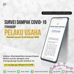 SURVEI DAMPAK COVID-19 TERHADAP PELAKU USAHA TW 4 2020