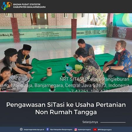 Pengawasan SiTasi ke Usaha Pertanian Non Rumah Tangga