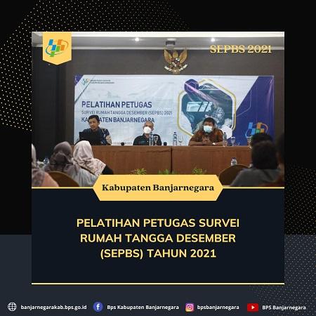 Pelatihan Petugas Survei Rumah Tangga Desember (SEPBS) 2021